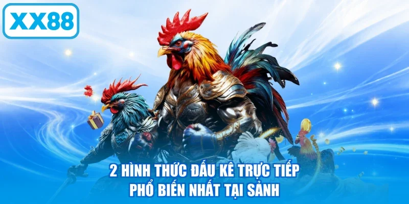 2 hình thức đấu kê trực tiếp phổ biến nhất tại sảnh