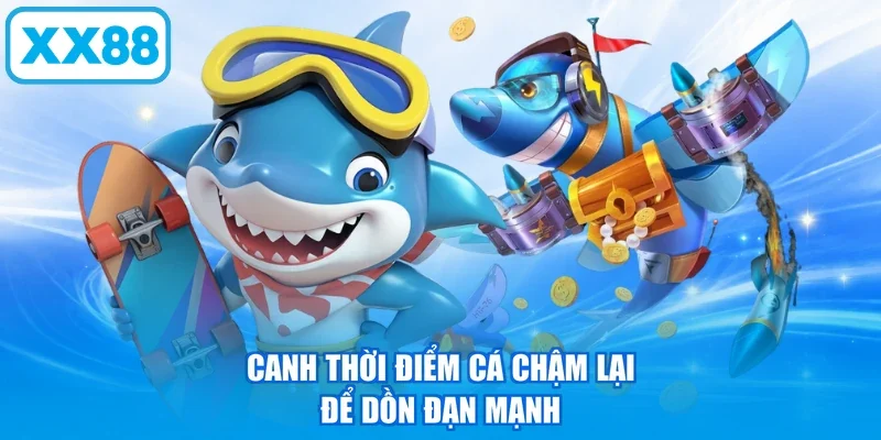 Canh thời điểm cá chậm lại để dồn đạn mạnh