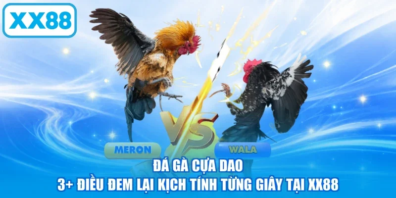 Đá Gà Cựa Dao - 3+ Điều Đem Lại Kịch Tính Từng Giây Tại XX88