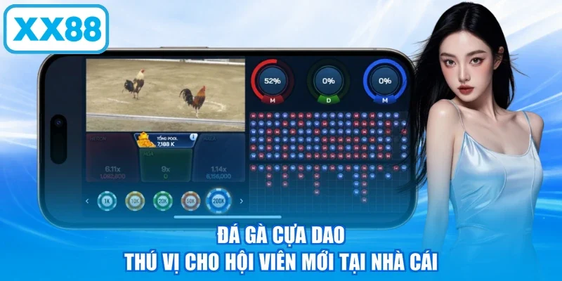Đá gà cựa dao thú vị cho hội viên mới tại nhà cái