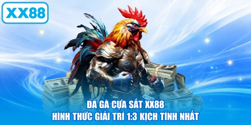 Đá Gà Cựa Sắt XX88 | Hình Thức Giải Trí 1:3 Kịch Tính Nhất