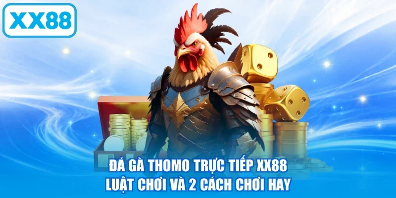 Đá Gà Thomo Trực Tiếp XX88 | Luật Chơi Và 2 Cách Chơi Hay