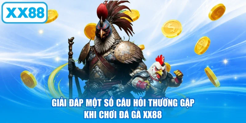 Giải đáp một số câu hỏi thường gặp khi chơi đá gà XX88