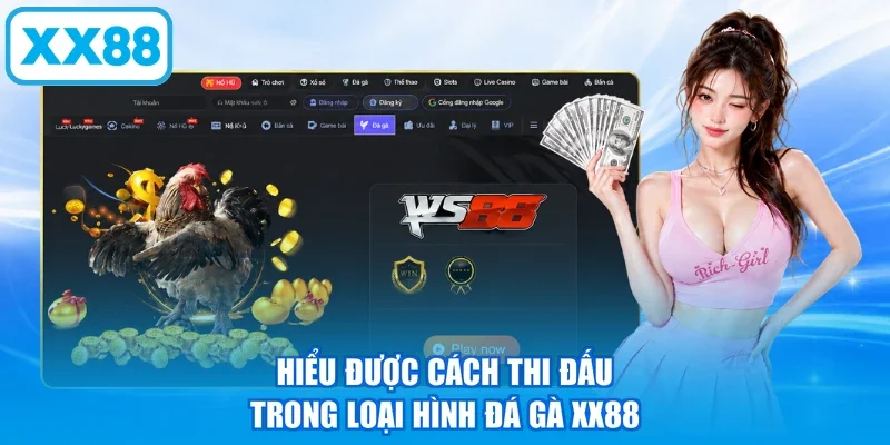Hiểu được cách thi đấu trong loại hình đá gà XX88