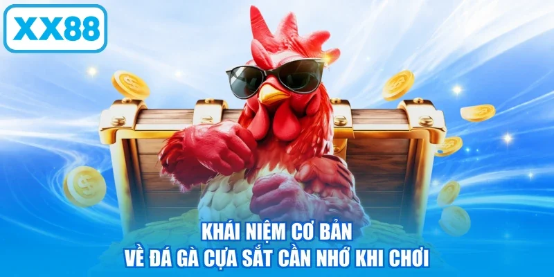 Khái niệm cơ bản về đá gà cựa sắt cần nhớ khi chơi