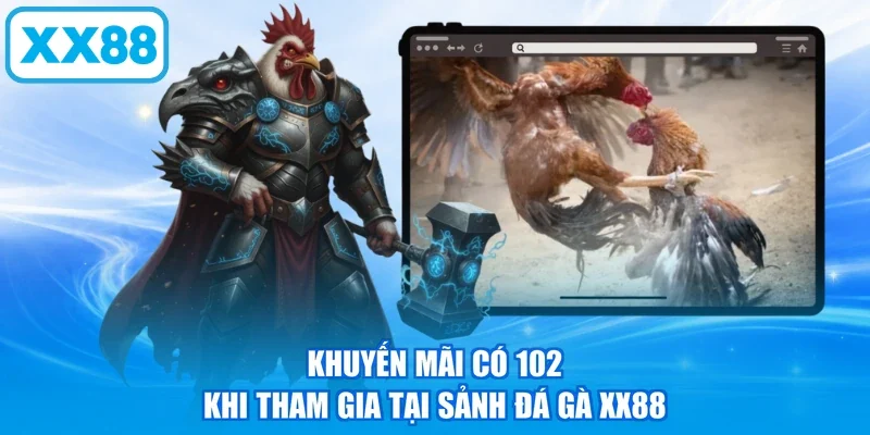 Khuyến mãi có 102 khi tham gia tại sảnh đá gà XX88