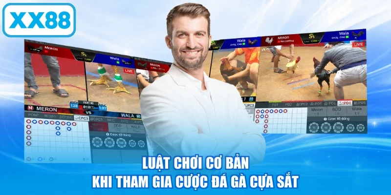 Luật chơi cơ bản khi tham gia cược đá gà cựa sắt