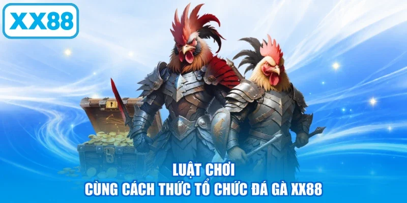 Luật chơi cùng cách thức tổ chức đá gà XX88