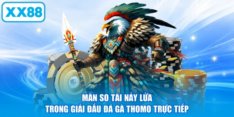 Màn so tài nảy lửa trong giải đấu đá gà Thomo trực tiếp