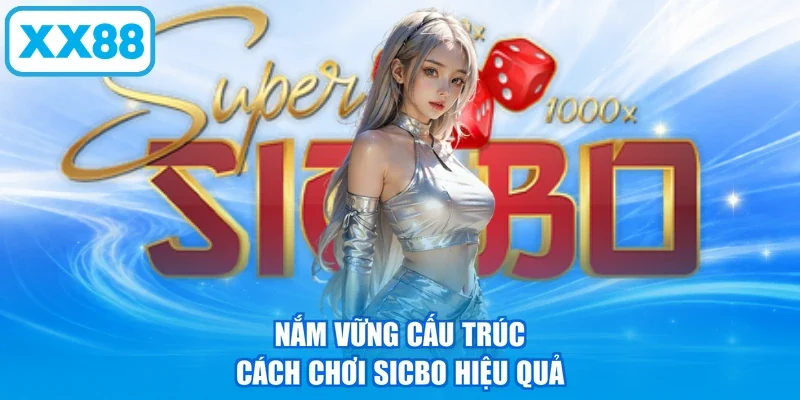 Nắm vững cấu trúc cách chơi Sicbo hiệu quả