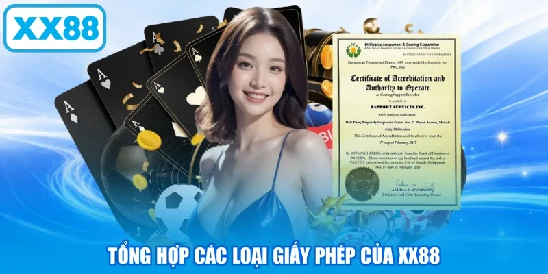 Tổng hợp các loại giấy phép của XX88